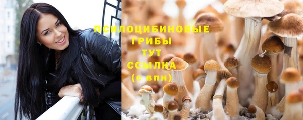 МДПВ Белокуриха