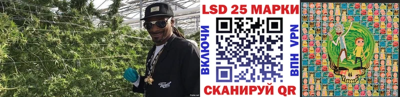 купить  цена  Кондопога  Марки NBOMe 1500мкг 