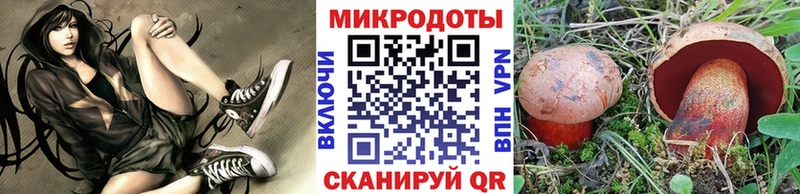 Галлюциногенные грибы Psilocybe  маркетплейс наркотические препараты  Кондопога 